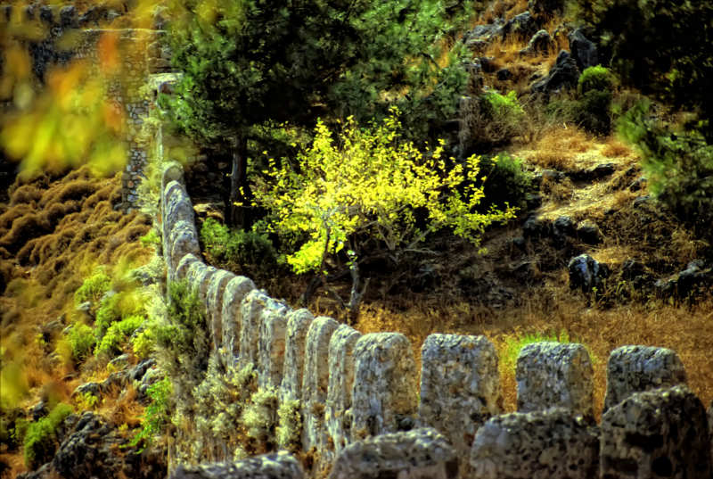 Part of old castle wall and grove, Marmaris, Turkey